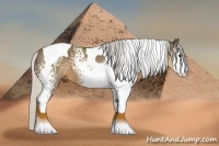 Horse Color:White Spotted Silver Buckskin Tobiano 