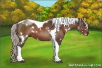 Horse Color:White Spotted Silver Brown Tobiano 