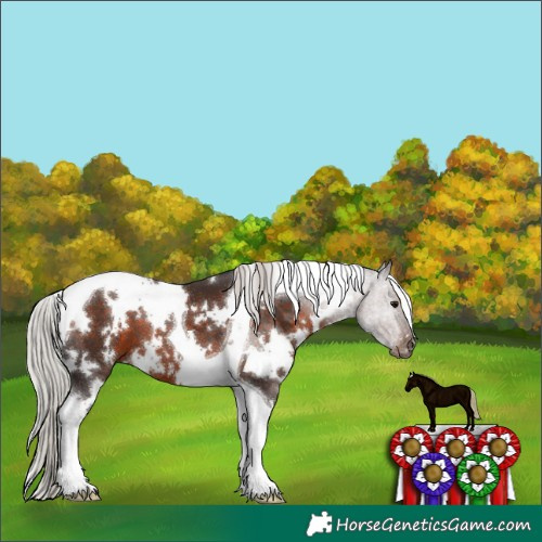 Horse Color:White Spotted Silver Brown Tobiano 