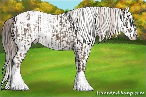 Horse Color:White Spotted Chocolate Palomino Sabino Splash Snowflake Varnish  and Liver Chestnut Sabino Splash Varnish 