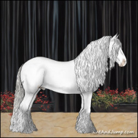 Horse Color:Midnight Gold Champagne Ice Mushroom Sabino Tobiano Appaloosa  and White Spotted Midnight Liver Chestnut Ice Mushroom Sabino Appaloosa 