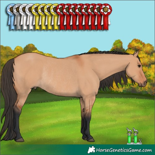 Horse Color:Bay Dun Rabicano 