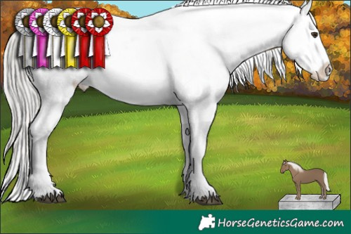 Horse Color:Liver Chestnut Mushroom Sabino Splash Near Leopard  and Liver Chestnut Mushroom Sabino Splash Near Leopard 