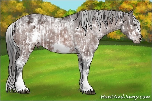 Horse Color:Bay Sabino Splash Frame Appaloosa  and White Spotted Bay Sabino Splash Frame Appaloosa 