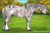 Horse Color:Bay Sabino Splash Frame Varnish  and White Spotted Bay Sabino Splash Frame Varnish 