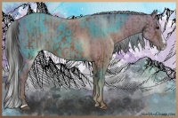Horse Color:Brown Sabino Splash Appaloosa and Silver Grullo Sabino Splash