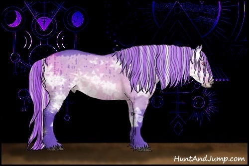 Horse Color:Painted Watercolor White Spotted Silver Brown Chinchilla Ice Dun Sabino Splash Rabicano 