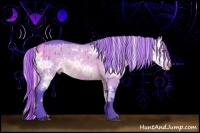 Horse Color:Painted Watercolor White Spotted Silver Brown Chinchilla Ice Dun Sabino Splash Rabicano 