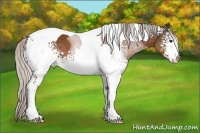Horse Color:White Spotted Silver Brown Tobiano
