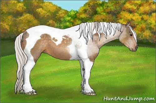 Horse Color:Silver Buckskin Tobiano 