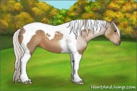 Horse Color:Silver Buckskin Tobiano 