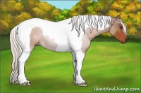 Horse Color:Silver Brown Tobiano 