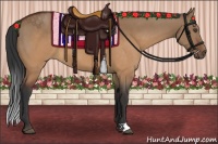 Horse Color:Brown Dun 