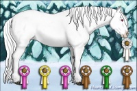 Horse Color:Brown Chinchilla Sabino Splash Tobiano Appaloosa  and Sable Champagne Chinchilla Sabino Splash Appaloosa 