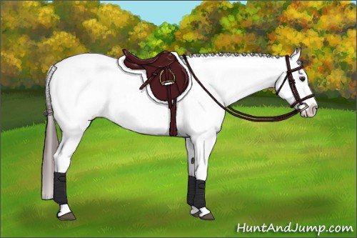 Horse Color:Brown Sabino Splash Appaloosa  and Brown Sabino Splash Appaloosa 