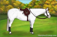 Horse Color:Brown Sabino Splash Appaloosa  and Brown Sabino Splash Appaloosa 