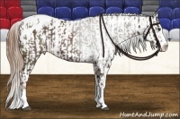 Horse Color:White Spotted Liver Chestnut Sabino Splash Appaloosa and Liver Red Dun Pearl Sabino Splash Appaloosa