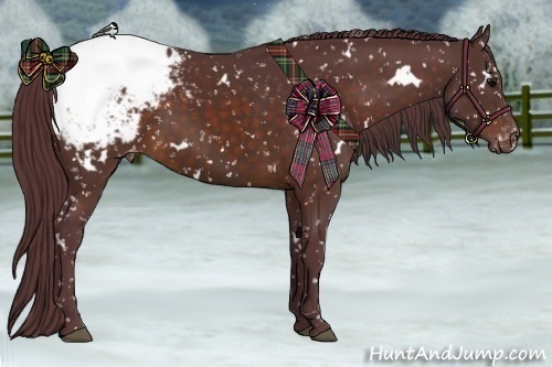 Horse Color:White Spotted Chocolate Brown Appaloosa 