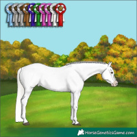 Horse Color:Liver Red Roan Mushroom Sabino Splash Frame Varnish  and Liver Red Roan Mushroom Sabino Splash Frame Varnish 