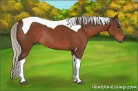 Horse Color:Silver Brown Tobiano Rabicano 