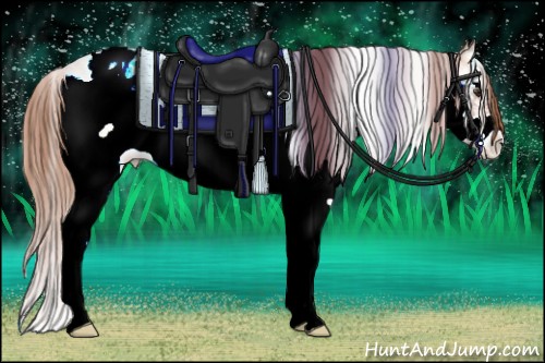 Horse Color:Gold Champagne Ice Onyx Sabino Frame Appaloosa 