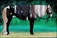 Horse Color:Gold Champagne Ice Onyx Sabino Frame Appaloosa