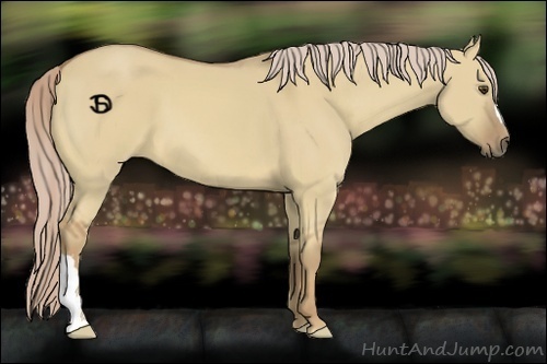 Horse Color:Palomino Dun