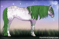 Horse Color:Watercolor Buckskin Ice Onyx 