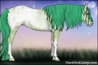 Horse Color:Watercolor Bay Ice Onyx