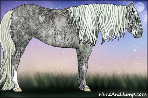 Horse Color:Watercolor Cremello Ice Onyx Rabicano