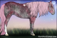 Horse Color:Watercolor Chocolate Palomino Ice Onyx 