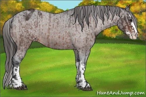 Horse Color:Brown Roan Sabino Splash Varnish and Brown Roan Sabino Splash Varnish