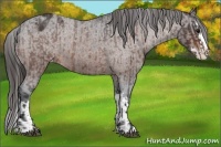 Horse Color:Brown Roan Sabino Splash Varnish and Brown Roan Sabino Splash Varnish