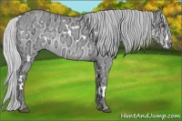 Horse Color:White Spotted Silver Grullo Chinchilla Ice 