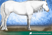 Horse Color:Silver Brown Appaloosa 