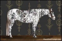 Horse Color:Midnight Liver Chestnut Sabino Splash Varnish  and Midnight Liver Chestnut Pearl Sabino Splash Snowflake Varnish 