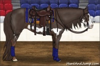 Horse Color:Liver Chestnut Splash Frame 
