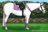 Horse Color:Black Splash Appaloosa 