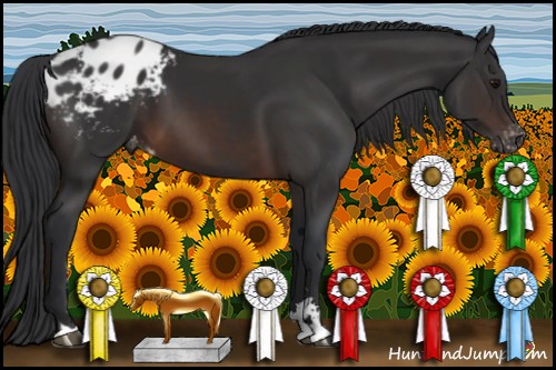 Horse Color:Brown Sabino Varnish 