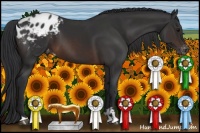 Horse Color:Brown Sabino Appaloosa