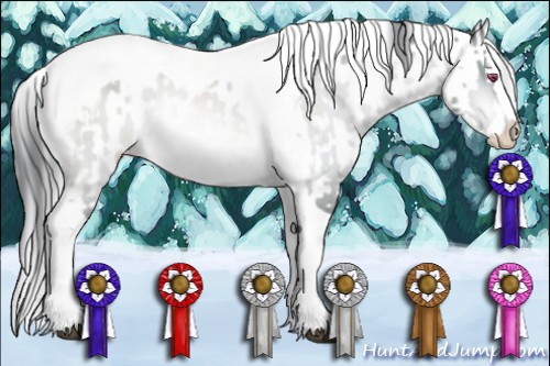 Horse Color:Brown Chinchilla Sabino Splash Tobiano Appaloosa  and Brown Chinchilla Sabino Splash Appaloosa 