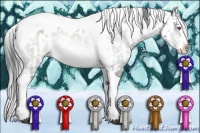 Horse Color:Brown Chinchilla Mushroom Sabino Splash Tobiano Blanket  and Brown Chinchilla Mushroom Sabino Splash Near Leopard 