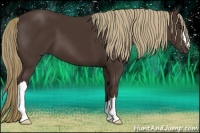 Horse Color:Liver Chestnut 