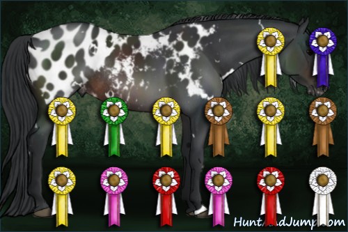 Horse Color:White Spotted Brown Appaloosa Rabicano