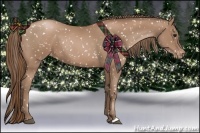 Horse Color:Black Pearl Appaloosa