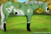 Horse Color:Watercolor Silver Black Chinchilla Ice Splash Frame