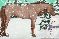 Horse Color:Red Roan Tobiano 