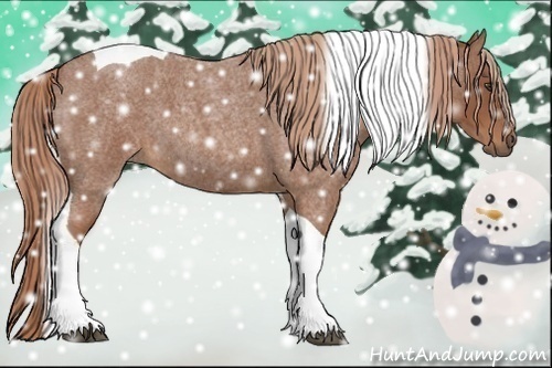 Horse Color:Red Roan Tobiano 