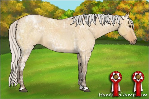 Horse Color:Silver Bay Ice Roan Dun 