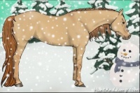Horse Color:Red Dun 